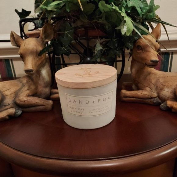 Sand & Fog Tropical Citrus 12 Oz. Candle Decorative Wood Top NWT - Picture 3 of 8